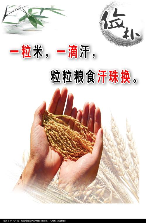 鲍林格林州立大学Designdegreecertificate